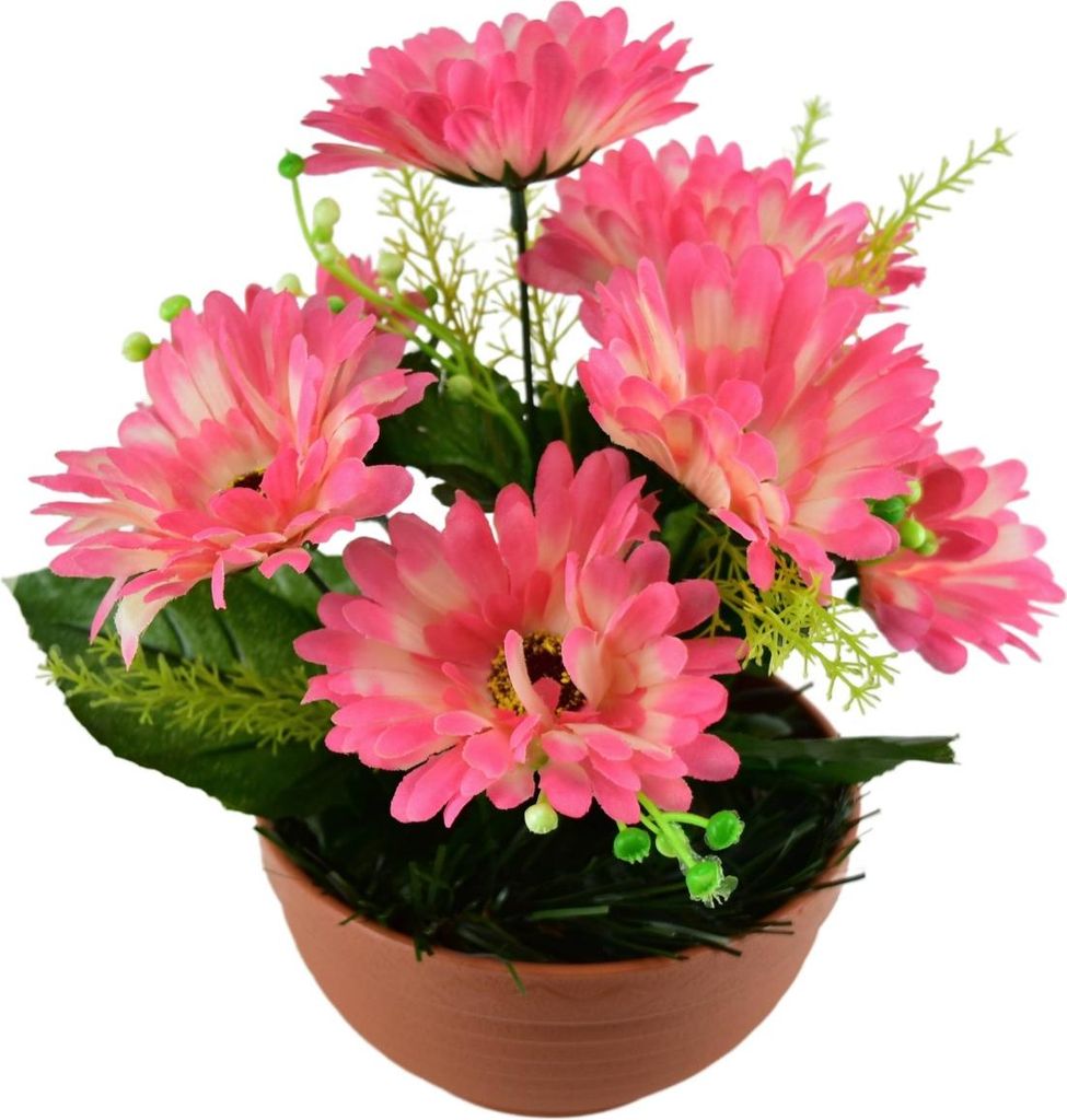 Gerberas rose 7 fleurs dans un bol en terre cuite Ø22/ 24 Image du produit 