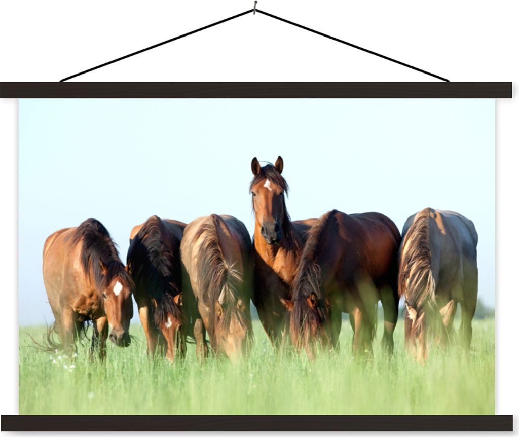MuchoWow Textilposter Pferde - Tiere - Gras - Sommer 120x80 cm mit schwarzem Rahmen - Wanddeko