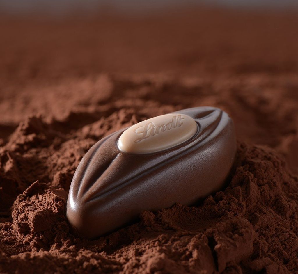 Lindt Pralines Hochfein z klasyczną, delikatną czekoladą Zdjęcie produktu 16
