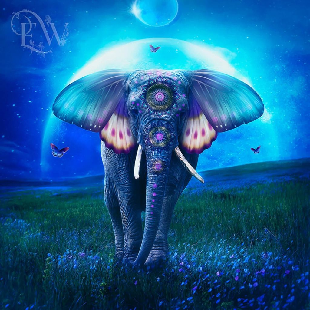 Malen nach Zahlen 5d Diamond Painting Elefant in der Nacht Malen nach Zahlen 30x30cm