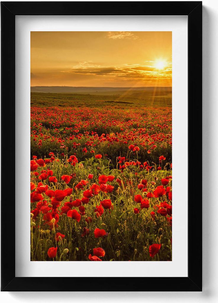 Landschaft einer Mohnblumenwiese– Wandbild mit Rahmen – Gerahmtes Bild – Wanddekoration – 20x30 cm – Schwarz