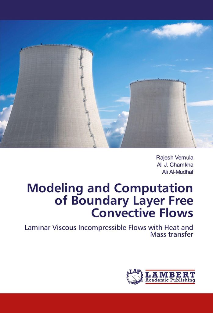 Modeling and Computation of Boundary Layer Free Convective Flows