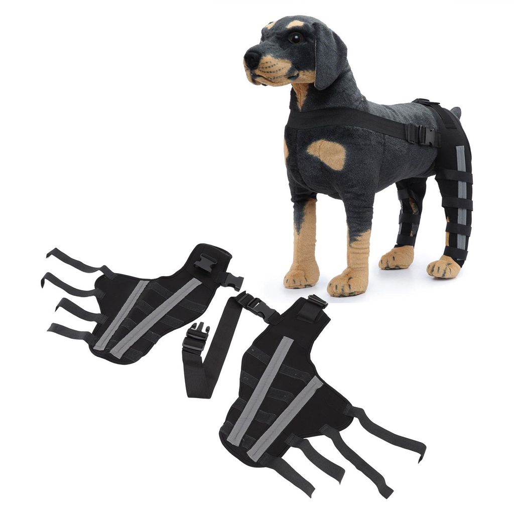 A stuffed dog wearing a black and gray orthopedic brace on its hind legs, with two similar braces laid out in the foreground.
