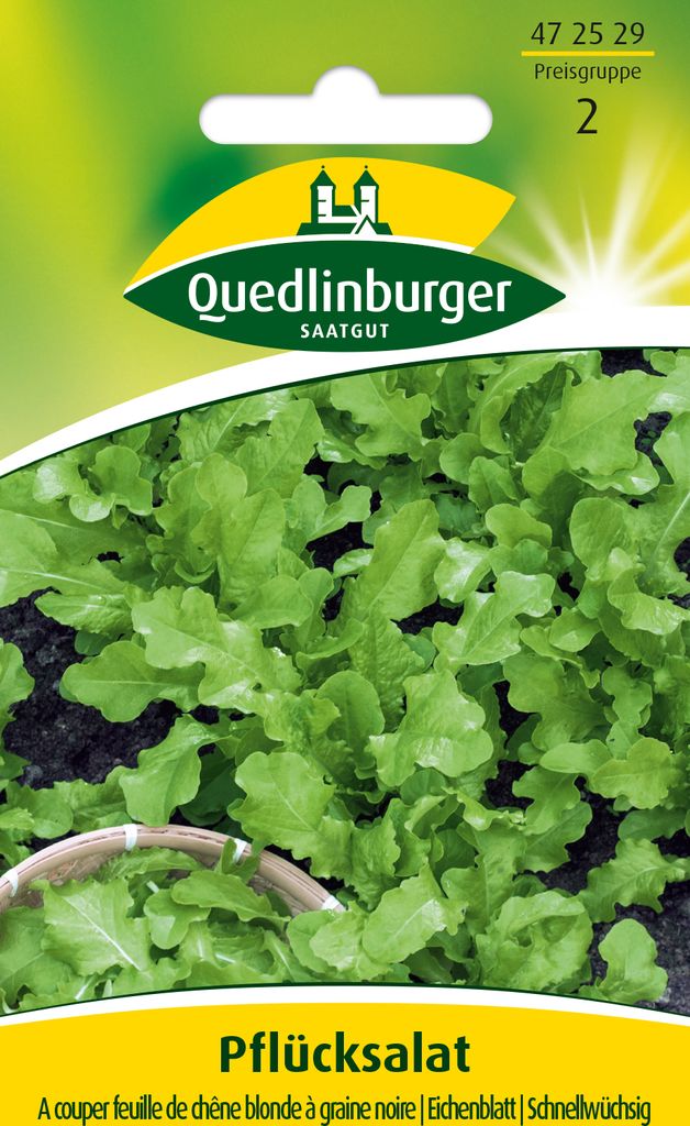 Pflücksalat 'A couper feuille de chên' Quedlinburger Produktbild 