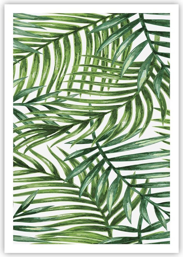 Poster - Poster ohne Rahmen - Palme Blatt grün - 70x100 cm - Wand Bild - Wanddeko - Wandbilder - Kunstposter - Wandposter - Bilder - Kunstdruck - ...