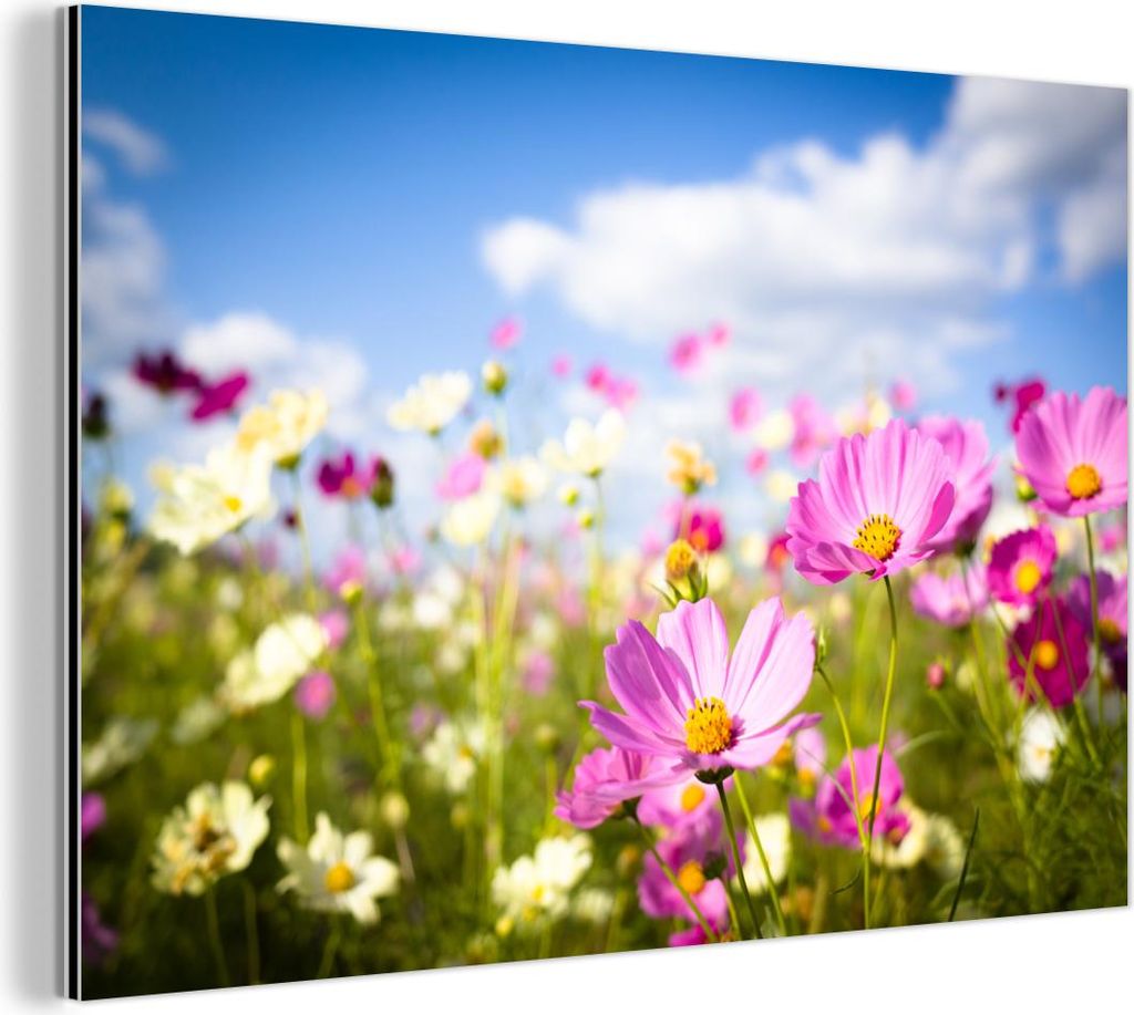 MuchoWow Wanddekoration Metall Metallbild Wandkunst 150x100 cm Blumen - Wiese - Lila - Gras - Weiß - Wolken - Blau MuchoWow Aluminium Gemälde - A...