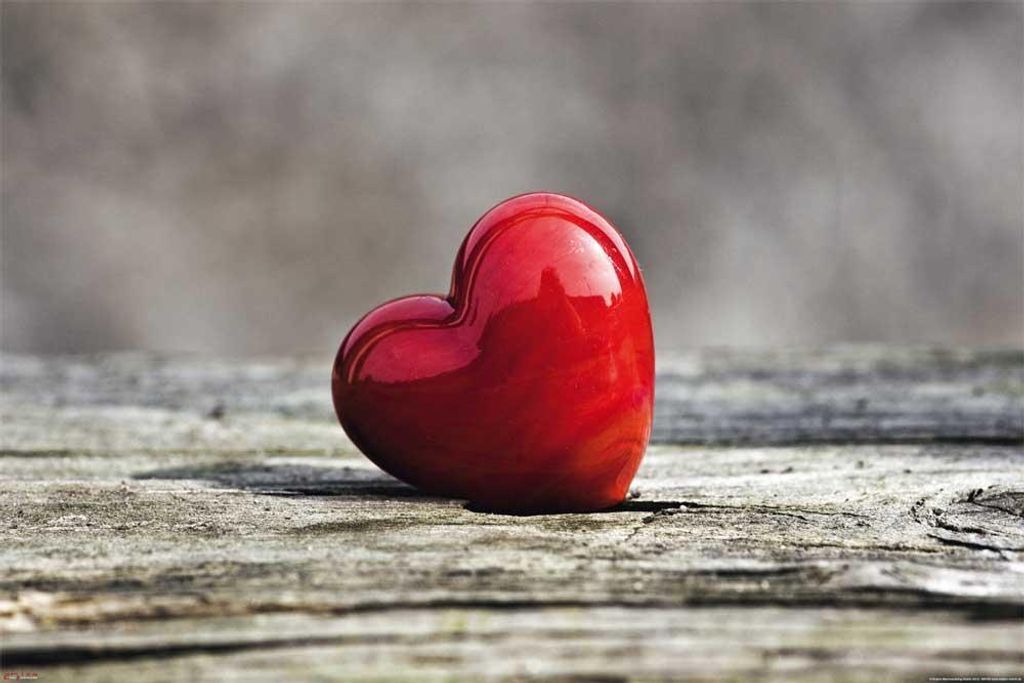 Colourlight - Poster - Heart on Wood