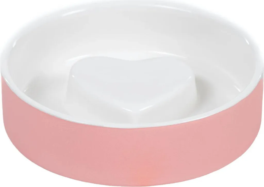 Gamelle Anti-glouton PAIKKA XS Rose : Écuelle de Digestion Lente en Céramique
