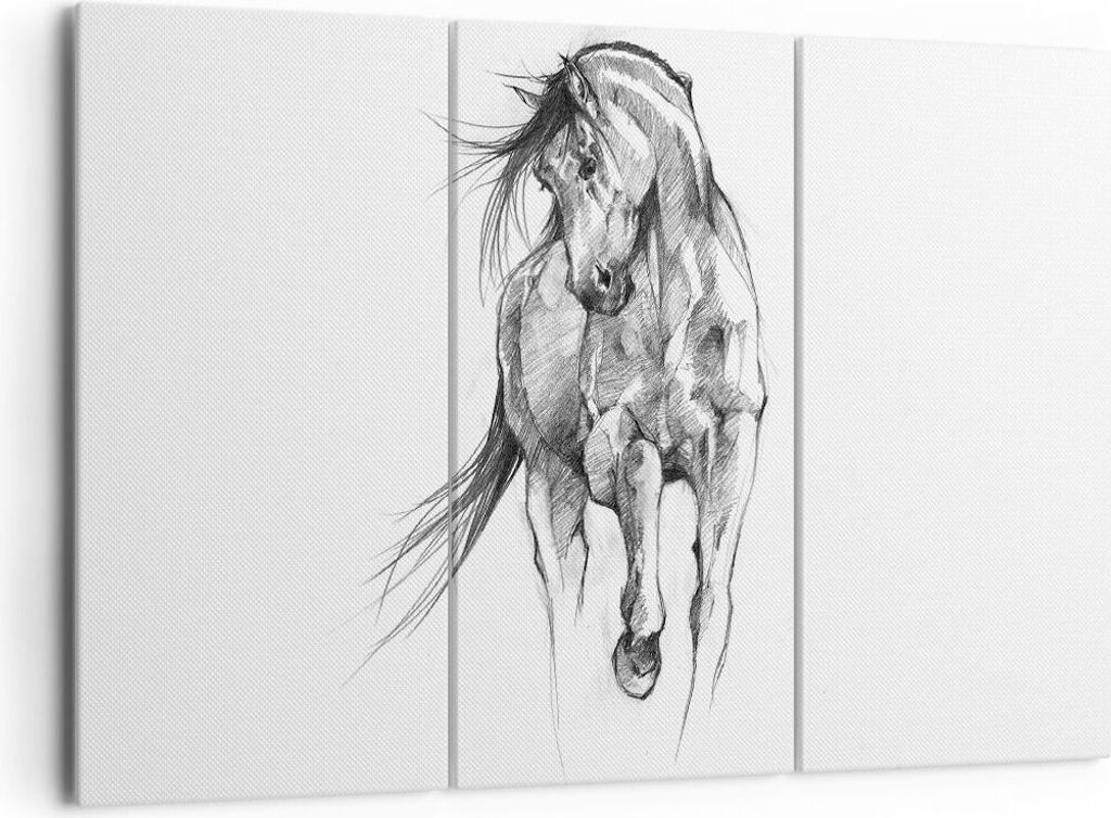 Bild auf Leinwand - Leinwandbild - 3 Teile - Pferd Galopp Tier - 165x110cm - Wand Bild - Wanddeko - Wandbilder - Leinwanddruck - Bilder - Wanddekor...