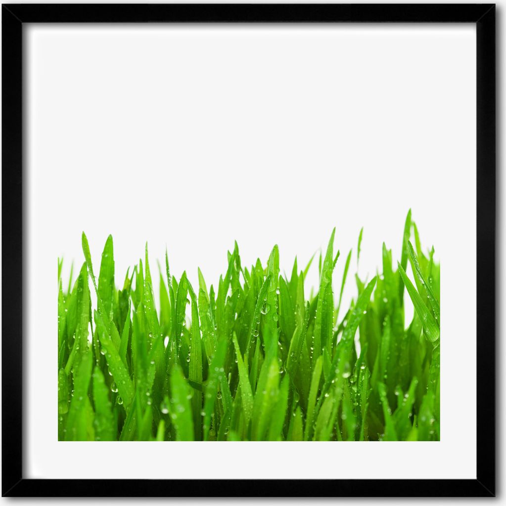 Bild - 50 cm x 50 cm - MDF - Rahmen, Wandkunst - Gras