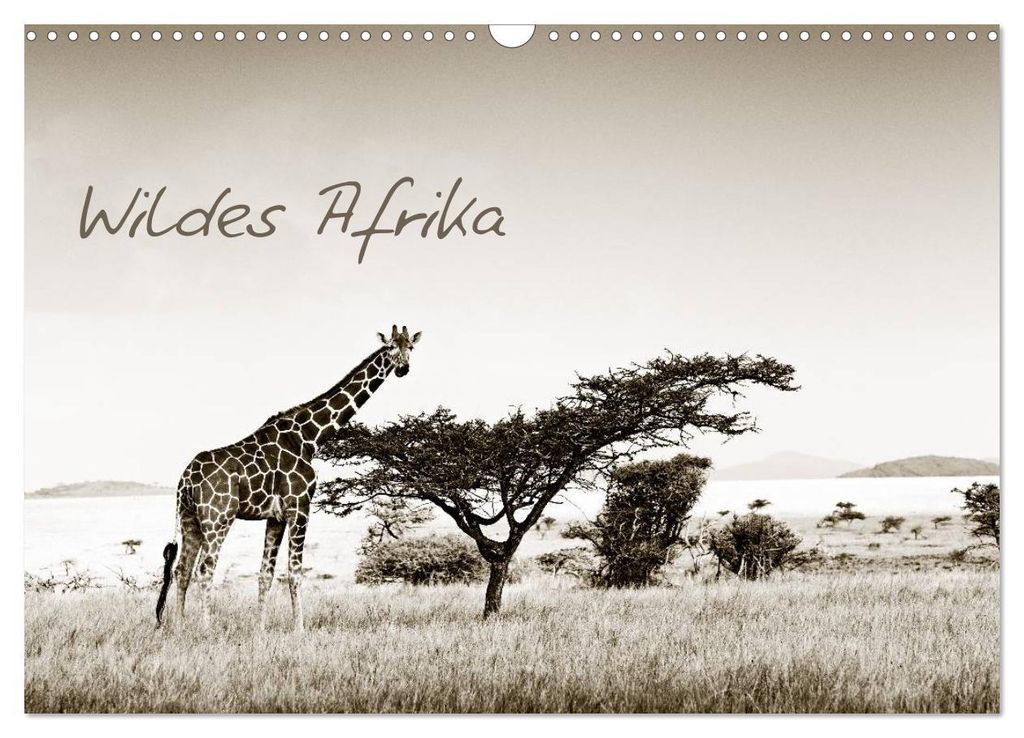 Wildes Afrika (Wandkalender 2027 DIN A3 quer), CALVENDO Monatskalender