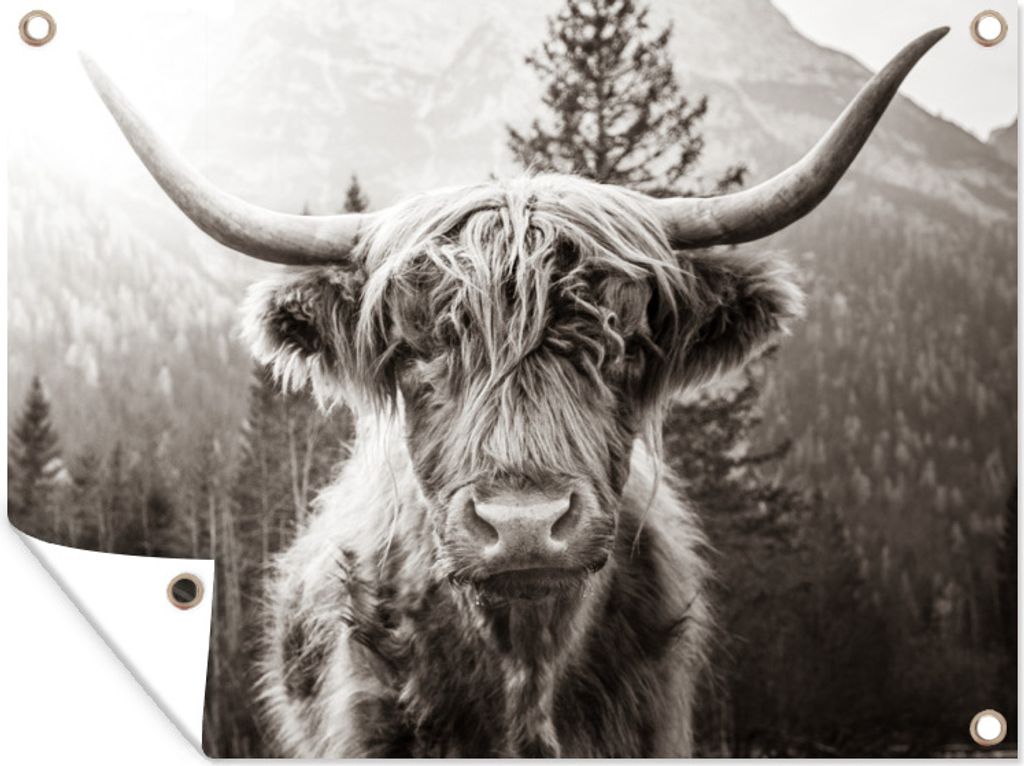 MuchoWow 80x60 cm Outdoor-Poster Gartendeko Sichtschutz Garten Poster für den Garten Scottish Highlander - Schwarz - Weiß