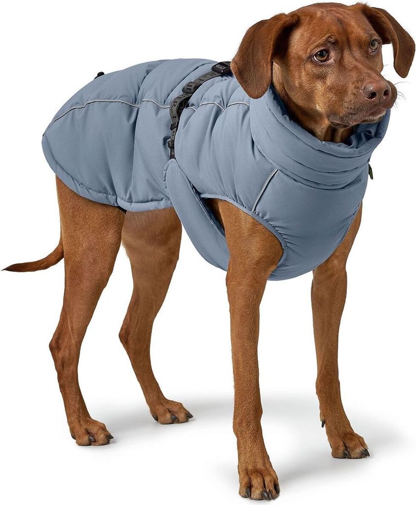 Petface Hundemantel Gesteppt – Größe L (50 Cm), Verstellbar, Für Kalte Tage