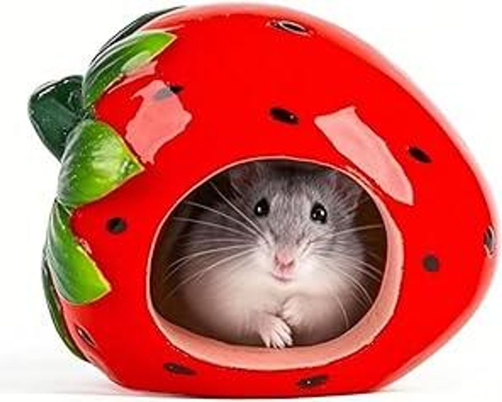 Erdbeer Form Höhle Keramik Haus, Kleintierversteck aus Keramik für Haustiere Hamster, Hamster Versteck Liebenswürdig Hamsterhaus