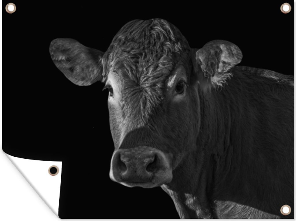 MuchoWow 80x60 cm Outdoor-Poster Gartendeko Sichtschutz Garten Poster für den Garten Kuh - Tiere - Schwarz - Weiß - Porträt