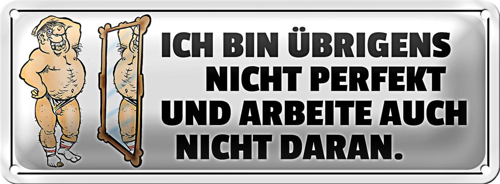 Blechschild Spruch 27x10cm ich bin übrigens nicht perfekt Dekoration