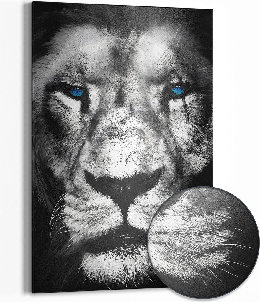 DEQOART Magnettafel Metall 60x90 cm 'Loyaler Blick' Whiteboard Pinnwand Magnetboard Büro