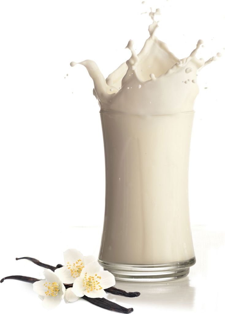 Bourbon Vanille Milchshake Pulver 10 kg