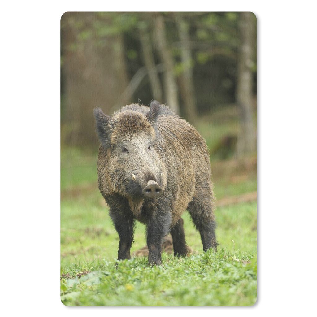 MuchoWow Mauspad Mousepad Wildschwein - Tier - Gras 18x27 cm - Mousepads - Maus Mat - Pad - Mausunterlage