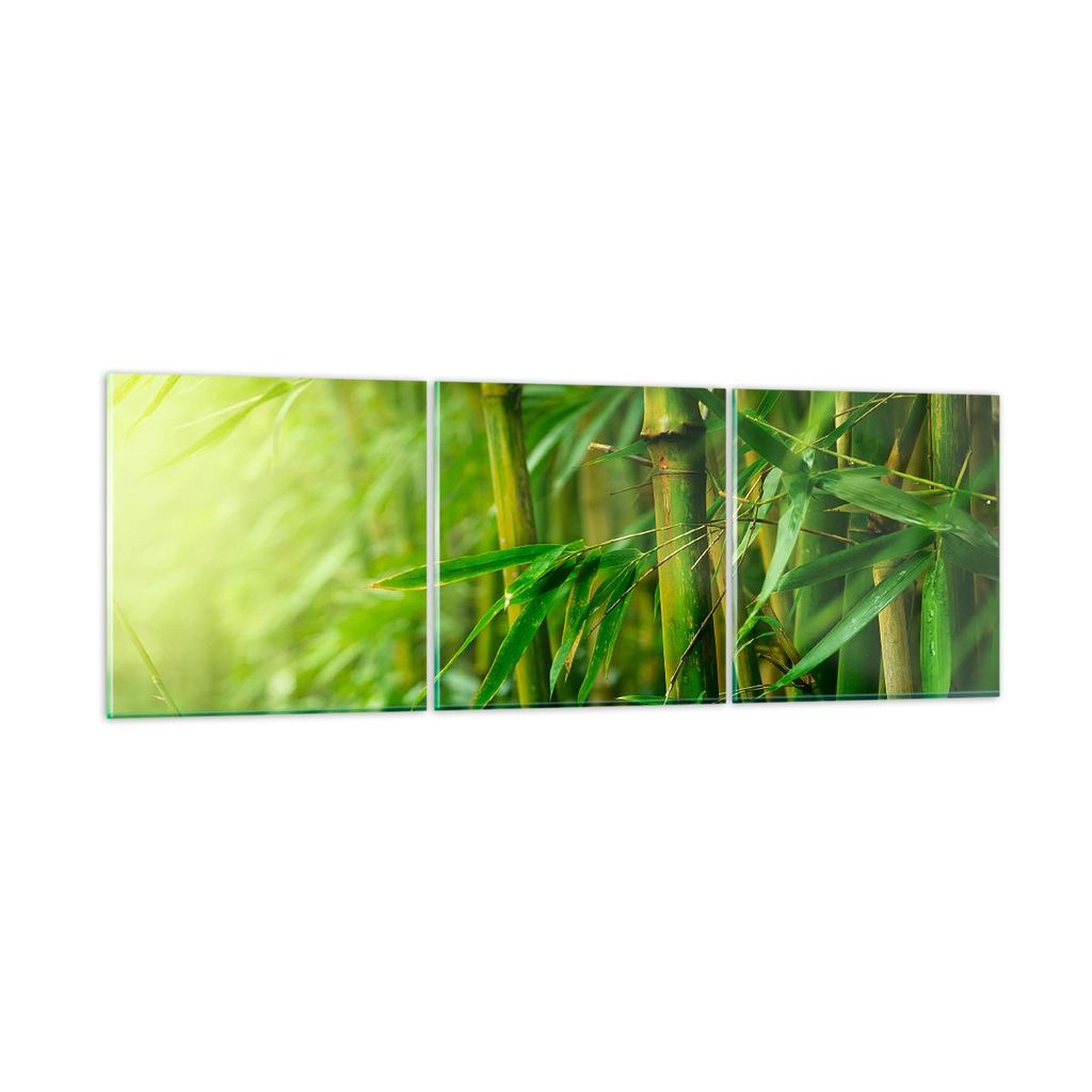 Bilder auf glas - Bambus Pflanze - 90x30cm - Glasbilder - Wandbilder - Bilder - Kunstdruck - zum Aufhängen bereit - Wanddekoration aus Glas - Glas...