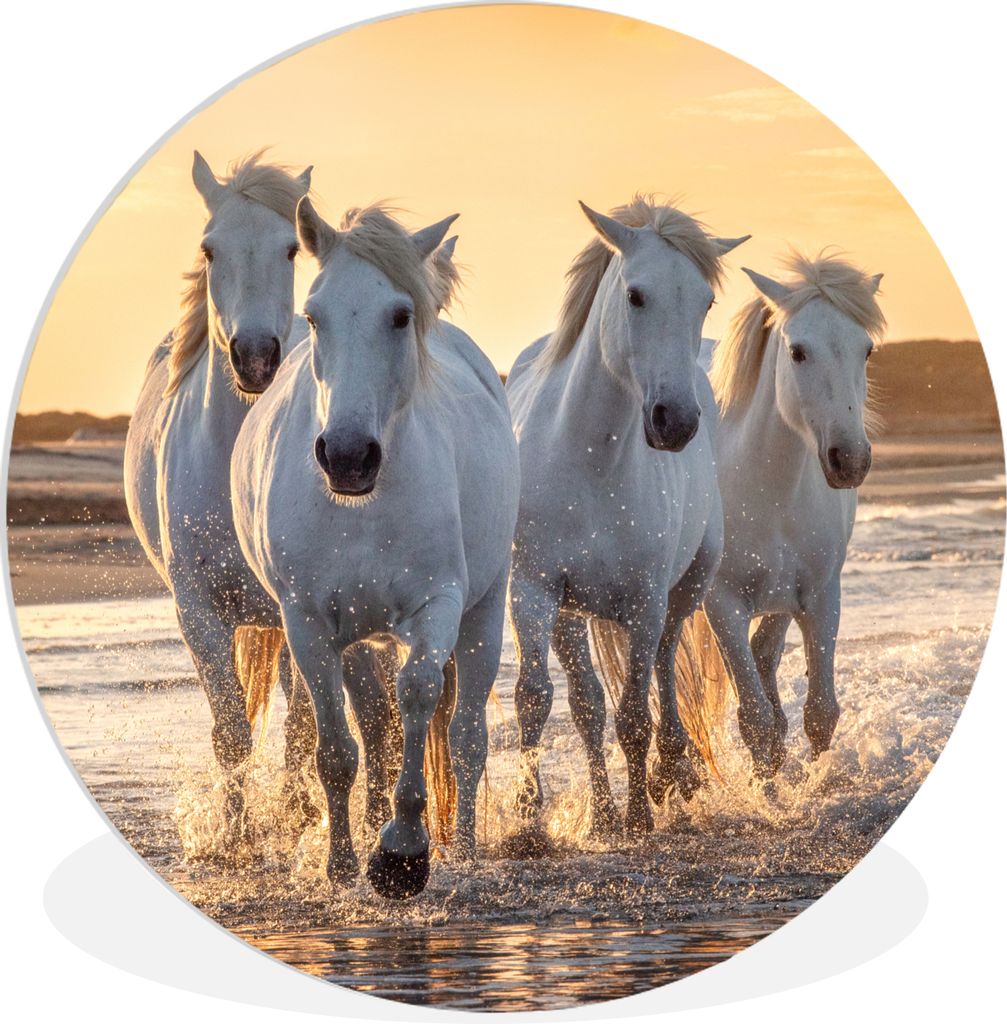 MuchoWow Rundes Wandbild - Runde Bilder Pferde - Wasser - Strand - Tiere Ø 90 cm Kreis Wanddekoration Kunststoff - Wandkreis - Wandschmuck - Wan...