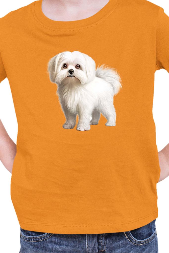 Kinder T-Shirt Dogs Breeds Maltese Dog Breed 005, 3-4 Jahr - 104 / Orange