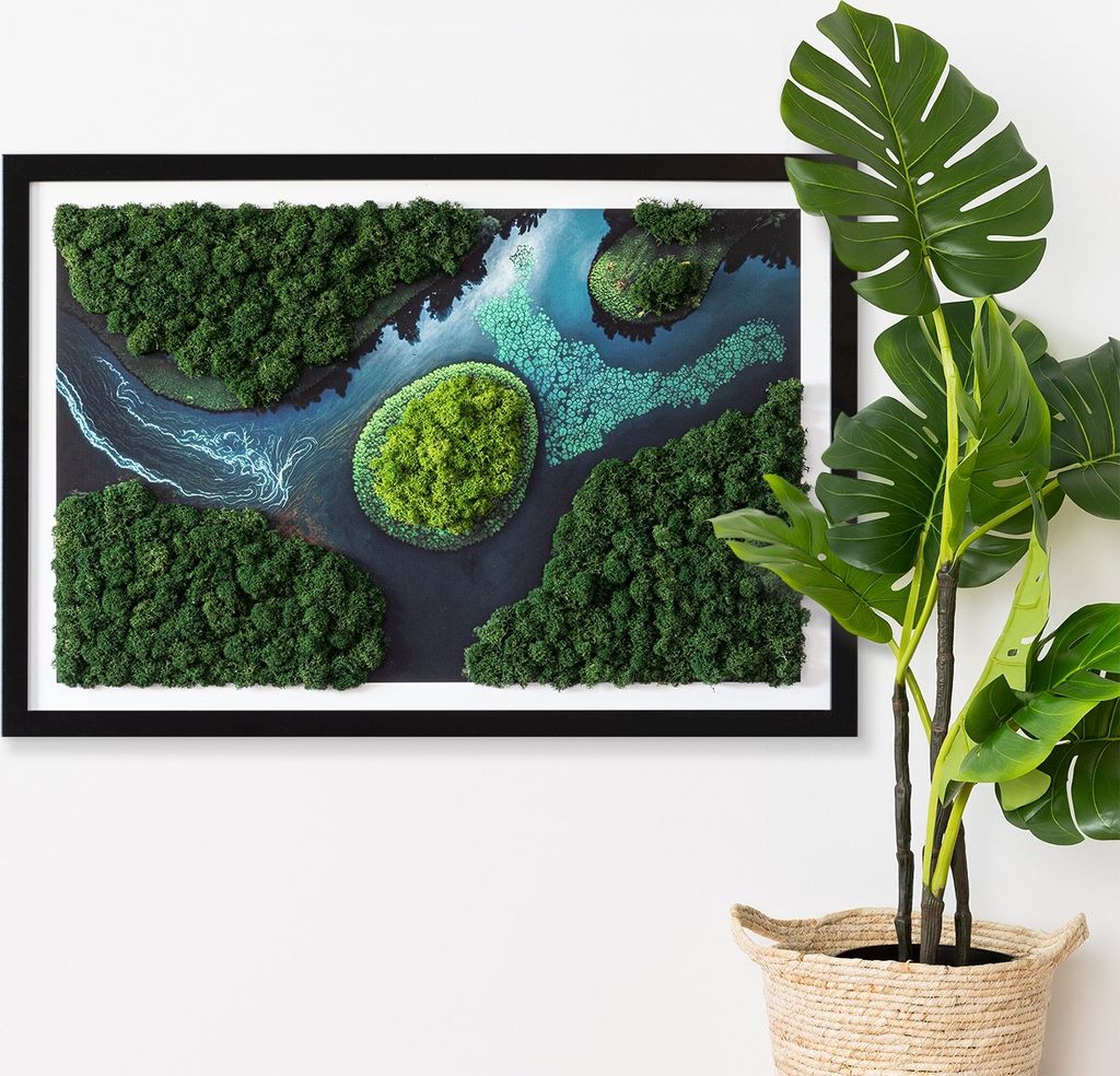 Moosbild mit Echtem Isländisch Moos - 60x40 cm - Schwarzer Produktbild 