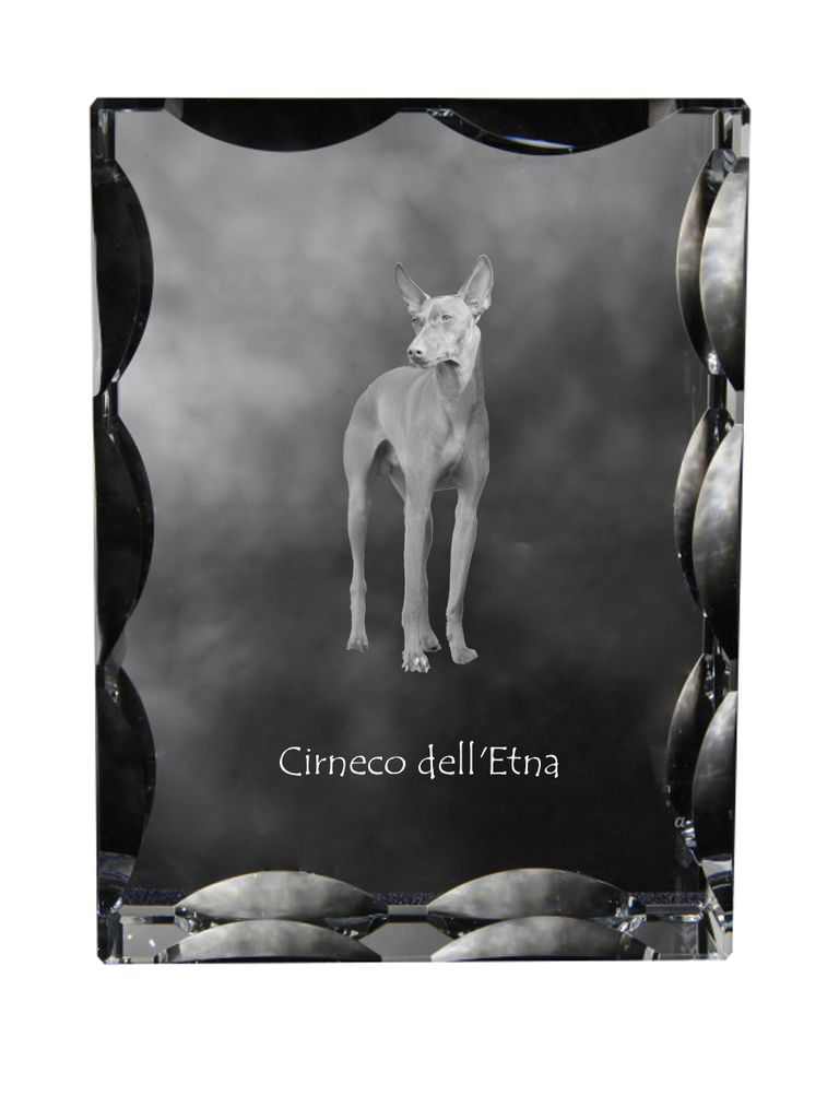 Cirneco dell'Etna - Kristall mit einem Hundebild, Glasstatuette mit einem Bild, einzigartiger Bilderrahmen der Marke Art-Dog
