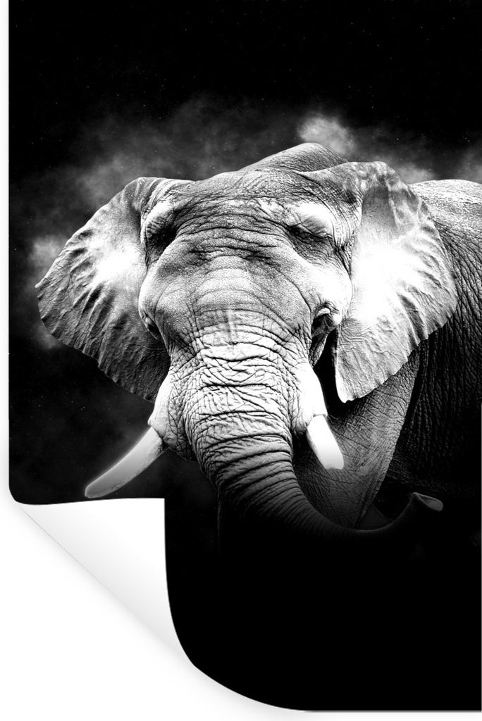 MuchoWow Wandtattoo Wandsticker Wandaufkleber Elefant im Nebel vor schwarzem Hintergrund - schwarz und weiß 20x30 cm Selbstklebend und Repositio...