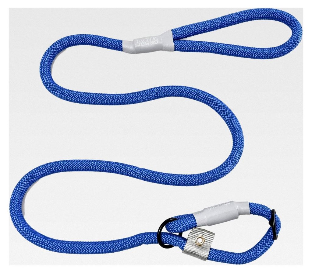 Schlupfhalsband und Hundetrainingsleine; 2-in-1, strapazierfähige, wetterfeste Seilleine, Länge 1,2 m, Durchmesser 1 cm (Regulär, Blau)