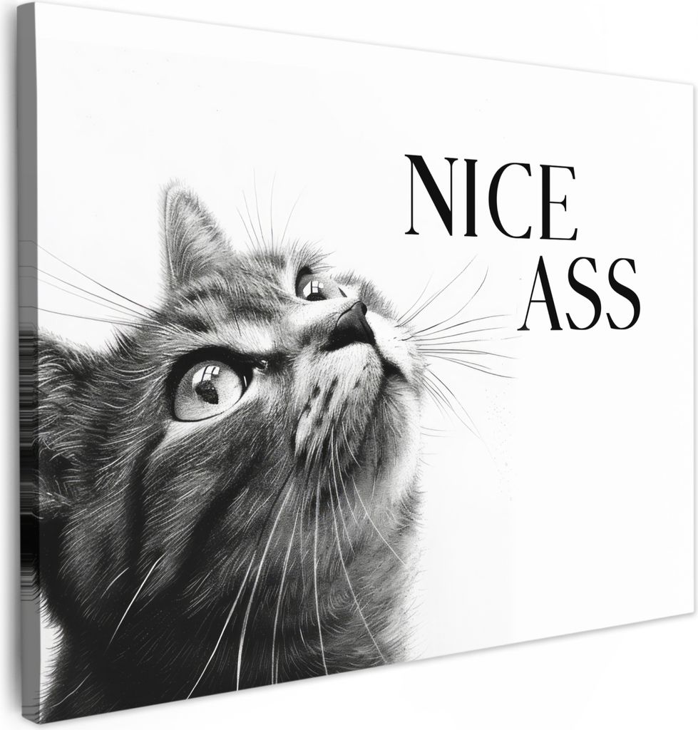 MuchoWow - Leinwandbilder - Katzen - Netter Arsch - Zitat - Schwarz und weiß - Sprichwörter, Wandbild, Wanddeko Bilder Wohnzimmer, 40x30 cm