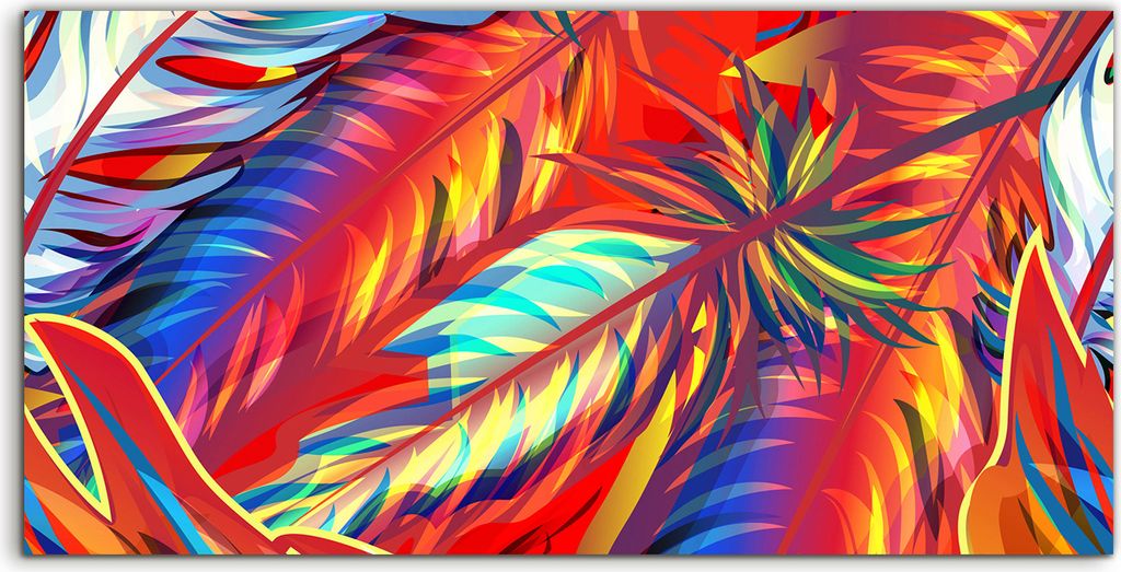 Coloray Canvas 120x60 Wandbild Leinwand Bilder Kunst bunte exotische Vogel Federn