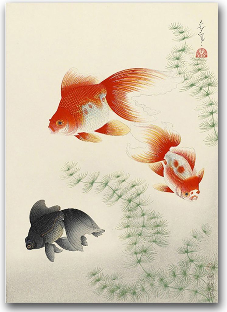 Poster - Canvas - Leinwand - 59,4 cm x 84,1 cm - Fotoposter - Leinwandkunst - Goldfish Ono Bakufu