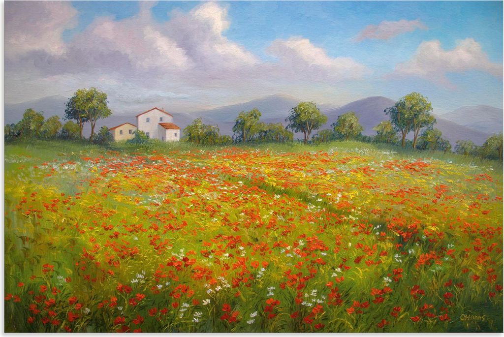 ARTland Wandbild Alu für Innen & Outdoor Mohnfeld Größe: 60x40 cm