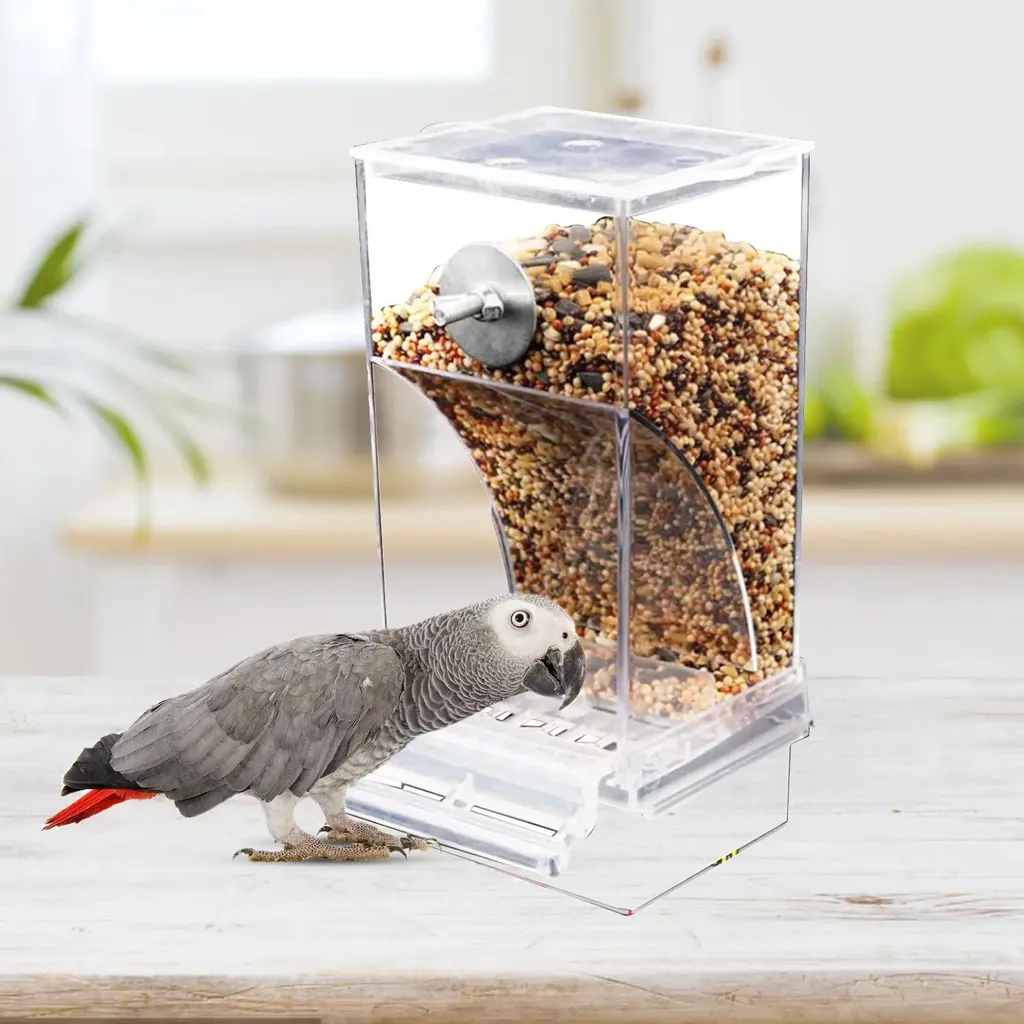 Distributeur de graines pour oiseaux en verre anti-éclaboussures 450ml