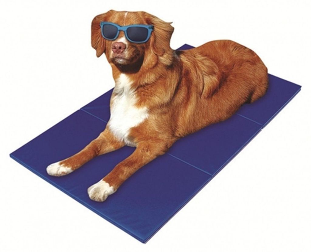 Pet-Star Kühlmatte - 110 x 70 cm Produktbild 