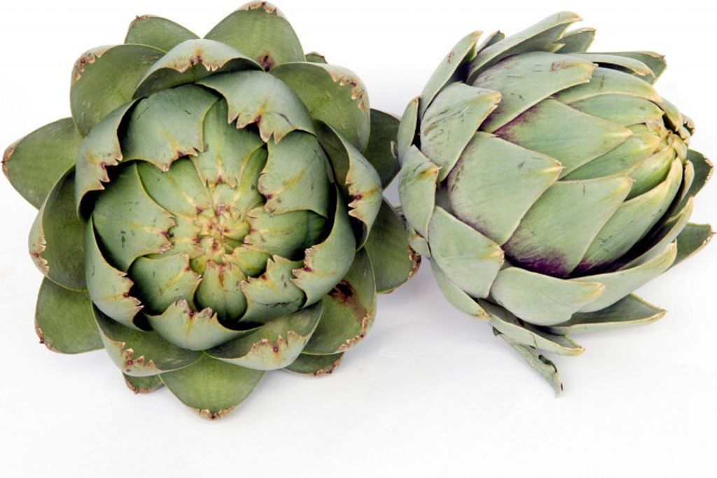 Cynara scolymus Samen 20 Stück winterhart, essbare Knospen, zur Leberstärkung