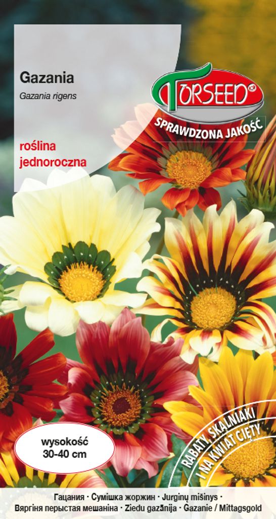 Gazania-Samenmischung - Torseed Produktbild 