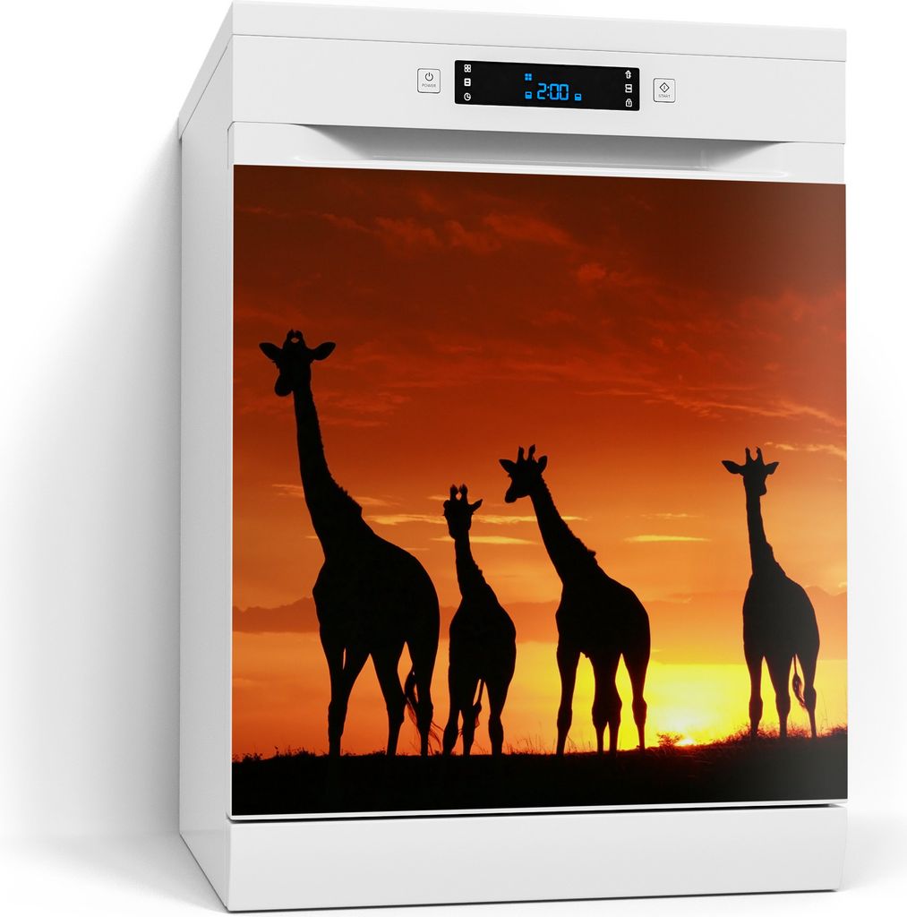 DEQORI Magnetmatte Spülmaschine beschreibbar 60x60 cm 'Abend in der Savanne' Magnetfolie
