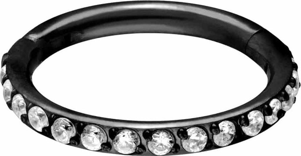 Ohrpiercing, Nasenpiercing, Septum Piercing Titan Segmentring Clicker EINGEFASSTE KRISTALLE Schwarz Innendurchmesser: 8mm + Stabstärke: 1,2mm