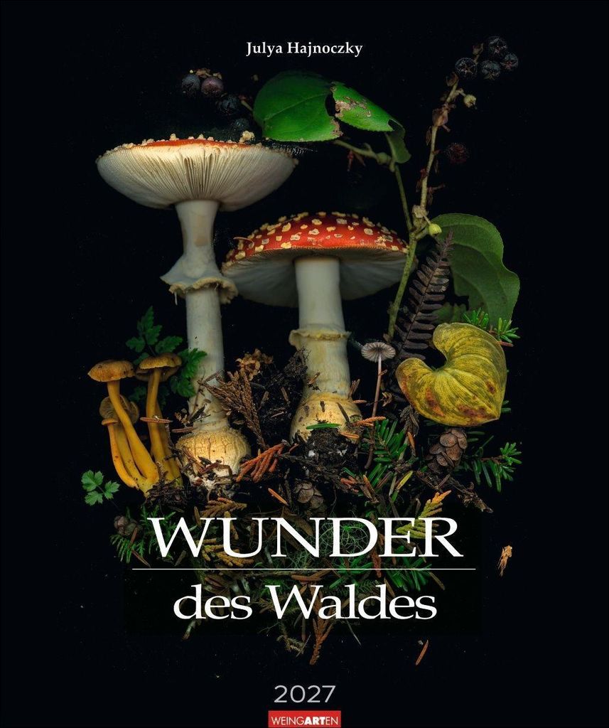 Fotokalender Wunder des Waldes 2027, 46 x 55 cm, 12 mystische Naturaufnahmen von Julya Hajnoczky