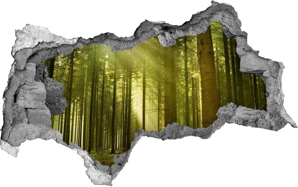 Selbstklebender Loch-3D-Aufkleber 95x73 cm Föhre