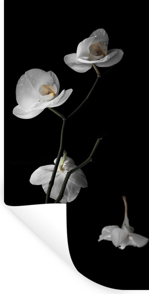 MuchoWow Wandtattoo Wandsticker Wandaufkleber Orchidee - Blumen - Schwarz - Weiß - Stilleben 60x120 cm Selbstklebend und Repositionierbar - Selb...
