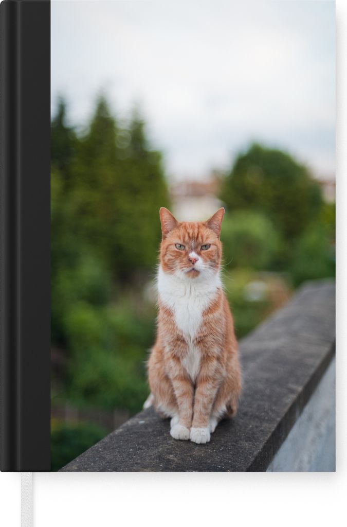 MuchoWow Notizbuch Tagebuch Haushaltsbuch Notebook A5 Katze - Balkon - Wald - Mädchen - Kinder - Jungen - Kinder - Notizblock - Notizheft - Note...
