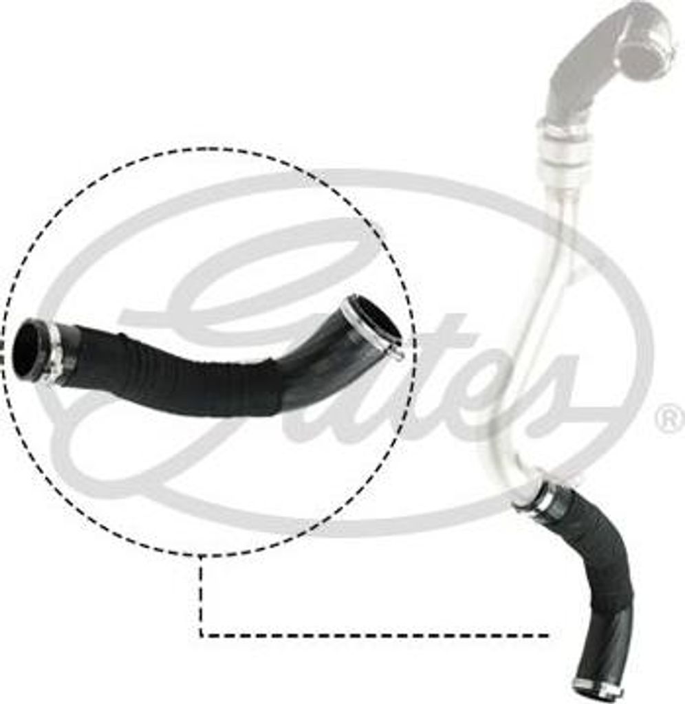 GATES 09-0645 Ladeluftschlauch OE 2054529 kompatibel mit Focus