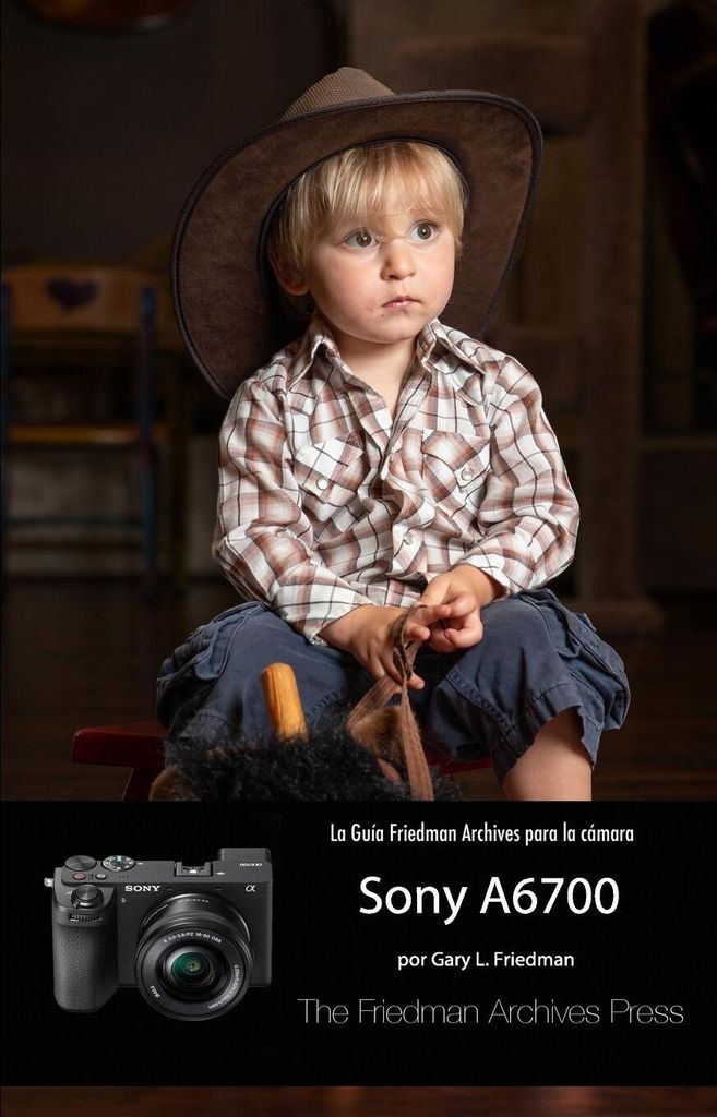 La Guía Friedman Archives Para La Sony A6700