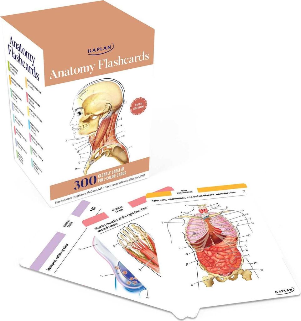 Anatomy Flashcards: 300 Flashcards with Anatomically Precise Drawings and Exhaustive Descriptions