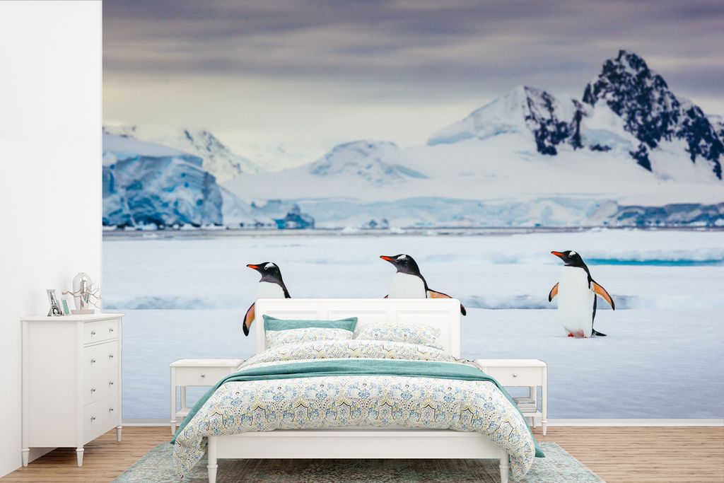 MuchoWow Fototapete für Wohnzimmer oder Schlafzimmer Wandtapete Vinyl Motivtapete Drei Pinguine - 600x400 cm - Vinyltapeten