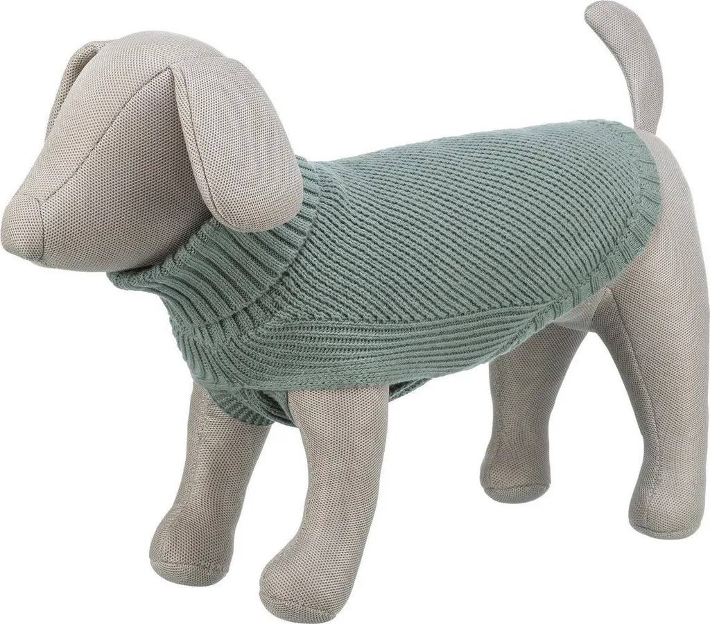 CityStyle Berlino Maglione Salvia: Outfit Pet di Tendenza 2026 - 2