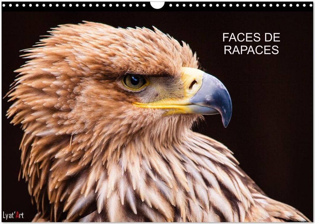 FACES DE RAPACES (Calendrier mural 2026 DIN A3 vertical), CALVENDO calendrier mensuel